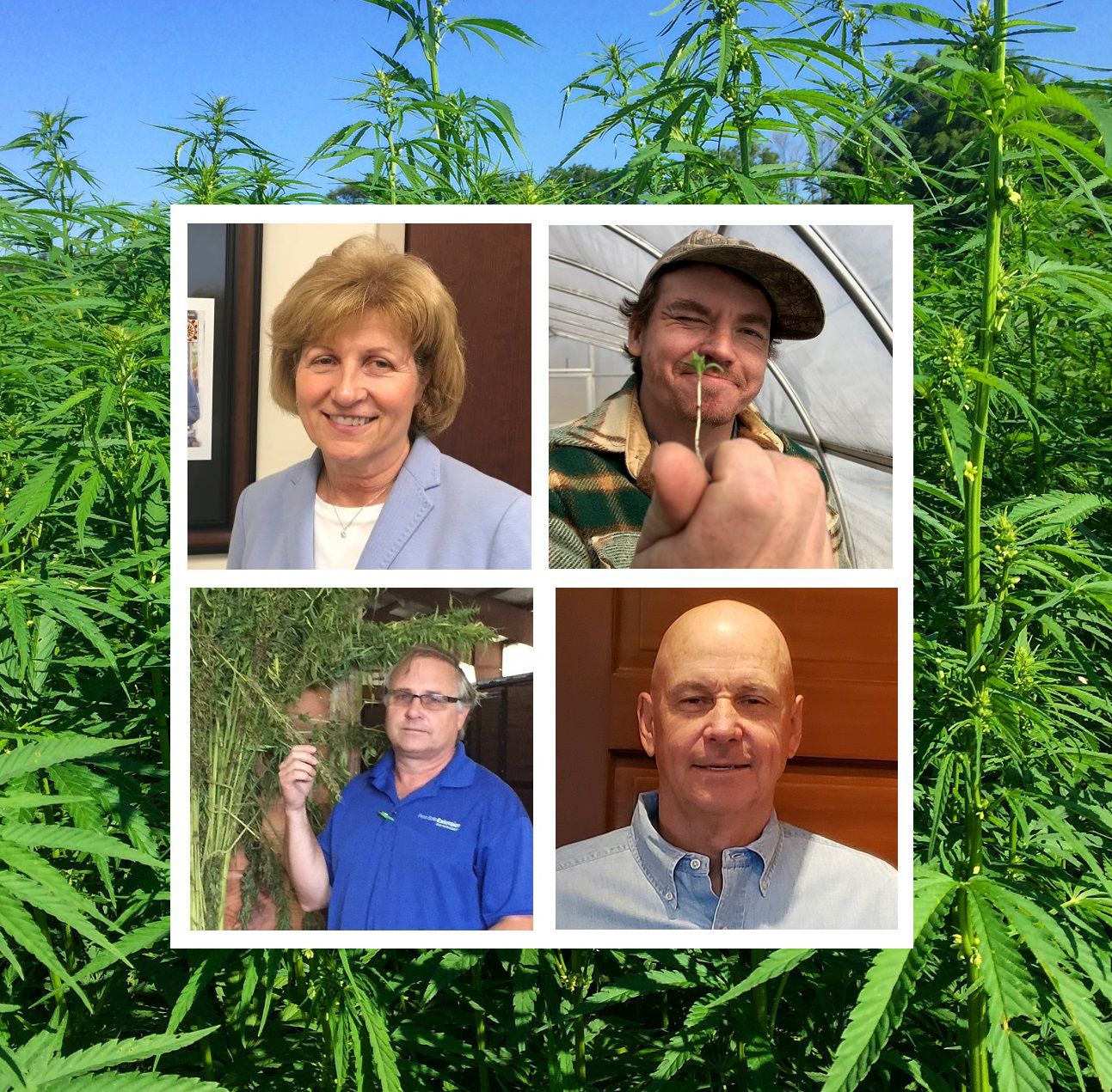 Good for the Farmer: Various Perspectives on Hemp